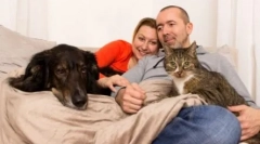 Ki a világon több: macskák vagy kutyák szerelmesei?